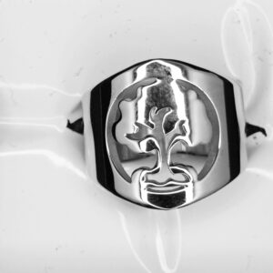 Anillo acero quirúrgico.