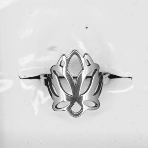 Anillo acero quirúrgico.